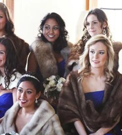 Beautiful Brides by Vesta